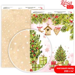 Бумага для дизайна Rosa Talent А4 200г/м матовая двухсторонняя Holiday Time-1 5318073