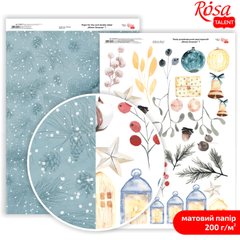 Бумага для дизайна Rosa Talent А4 200г/м матовая двухсторонняя Winter Dreamer-7 5318071