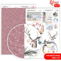 Бумага для дизайна Rosa Talent А4 200г/м матовая двухсторонняя Winter Dreamer-8 5318072