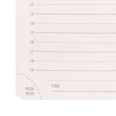 Щоденник 2027 А5 Leo Planner Status твердий ST2527**, Коричневий