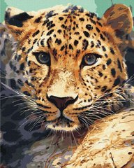 Картина по номер. на холсті 40*50см BrushMe BS51736 Портрет леопарда