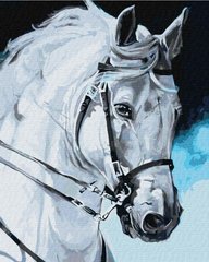 Картина раскраска по номерам на холсте - 40*50см Идейка КН4387 Гордый конь