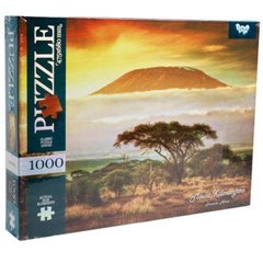 Пазлы DankoToys Гора Килиманджаро 1000 эл. DT C1000-10-03 680*475