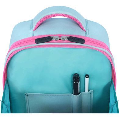 Рюкзак школьный Bagland Turtle 0013466 (252-1350) тиффани, Разноцветная