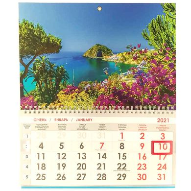 Календар настінний 2021 Контраст односекційний