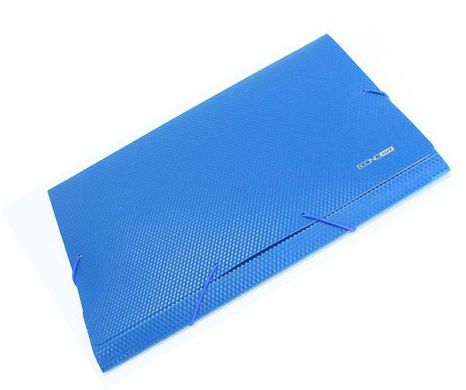Папка-короб А4 на резинках пластик Economix 40мм 31402, Синий