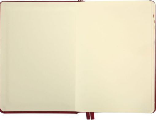 Ежедневник 2026 А5 Leo Planner Persona твердый 25266*, Бордо