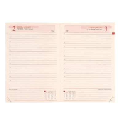 Ежедневник 2025 А6 Leo Planner Apiro 25259*, Синий