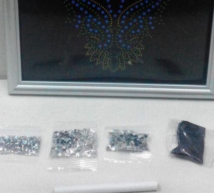 Набір для творчості DankoToys DT DAR-01-05 Diamond Art Картина зі стразами Кінь