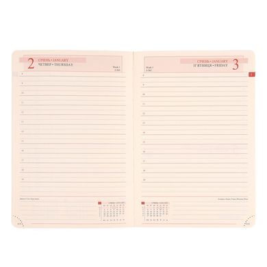 Ежедневник 2025 А6 Leo Planner Binario 25255*, винный