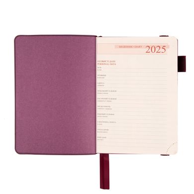 Ежедневник 2025 А6 Leo Planner Binario 25255*, винный