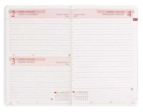 Щоденник 2027 А5 Leo Planner Persona твердий PE2527**, Бордо