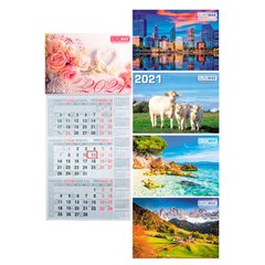 Календар настінний квартальний 2021 Buromax на 1 спиралі 29,7*63см BM.2106