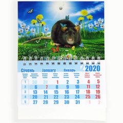 Календарь настенный 2020 Контраст 13*9см с магнитом