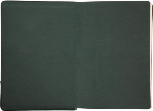 Ежедневник 2026 А5 Leo Planner Whisky твердый 2526**, Зелёный