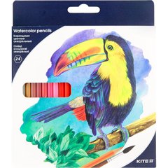 Карандаши цветные акварельные 24цв. Kite мод 1050 Птицы K18-1050