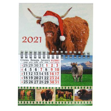 Календар настінний 2021 Forward 14,5*19см з магнітом Міні KR2