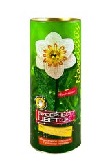 Набір для творчості DankoToys DT БЦ-03 Бісєрна квітка Нарцис