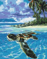 Картина раскраска по номерам на холсте - 40*50см BrushMe BS51422 Тропическая черепаха