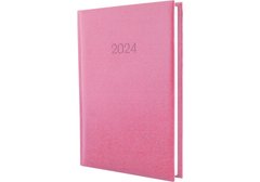 Ежедневник 2024 Economix А5 Principe E21690, Розовый
