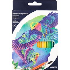 Карандаши цветные акварельные 36цв. Kite мод 1052 Птицы K18-1052