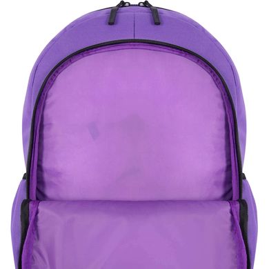 Рюкзак (ранец) школьный Bagland Cyclone 0054266 (170-1361) фиолетовый, Фиолетовый