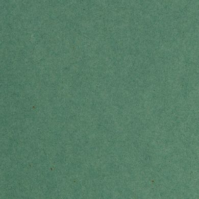 Альбом для пастелі А3 ЛІЛІЯ-ХОЛДІНГ ПЛАНШЕТ 20арк 300г/м Японські пейзажи (картон зелений) ППЯ3