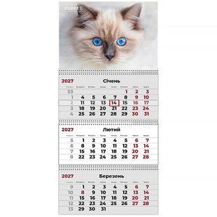 Календарь настенный квартальный 2027 Axent на 3 спирали 29,7*63см 8803-27-8-A Cats 2