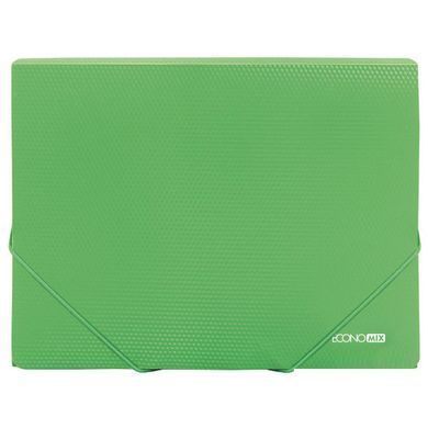 Папка А4 на гумках пластик ECONOMIX 31601/31618, Синий
