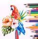 Карандаши цветные 18цв. Sultani Colores Joy Art ST-6141-18