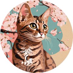 Картина раскраска по номерам на холсте d-39см Идейка КНО-R1012 Очаровательный котенок
