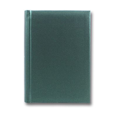 Щоденник 9,5*13,5см недатований Brisk 3В-15 Metaphor, Зелений