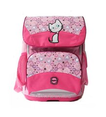 Рюкзак (ранец) школьный каркасный MagTaller 20913-47 Kitty