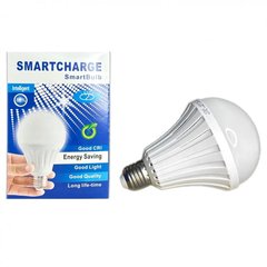 Лампочка LED Lamp 5 Watt с аккумулятором E27/718841