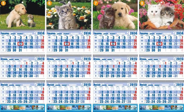 Календар настінний квартальний 2015 Контраст
