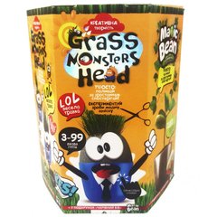 Набор для творчества DankoToys DT GMH-01-02 Grass Monsters Head веселая травка