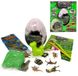 Набір для творчості DankoToys DT DP-03-01 розкопки Dino Paleontology EGG 4в1