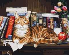 Картина по номер. на холсті 40*50см BrushMe BS4142 Кіт на книжковій полиці