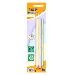 Олівець графітний BIC Evolution Pastel HB без гумки 5шт блістер bc518980