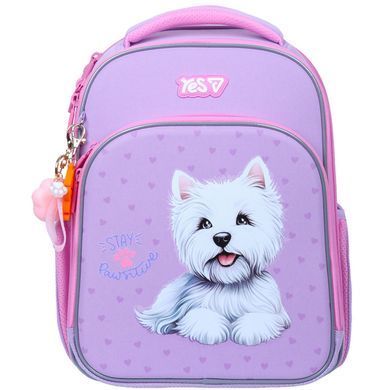 Рюкзак школьный каркасный Yes 550226 S-78 Stay Pawesome 39*29*15см