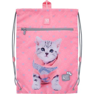 Набір рюкзак+пенал+сумка д/взуття Kite мод 555 Studio Pets SET_SP21-555S-2