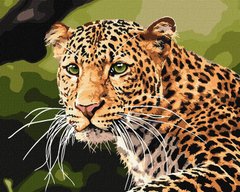 Картина по номер. на холсті 40*50см Идейка КН4322 Зеленоокий леопард