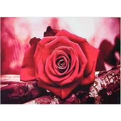 Картина по номер. на холсті 20*30см Josef Otten JS20463 Троянда