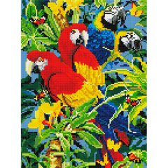 Алмазная живопись мозаика по номерам на холсте 30*40см Никитошка EJ299 Красочные попугаи Ара