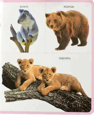Книга детская Перо, моя первая книжка, Животные (укр) 628584