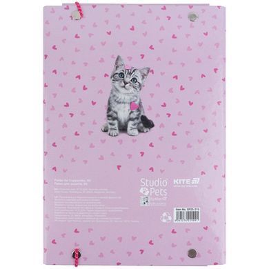 Папка для тетрадей B5 KITE мод 210 плотный картон на резинке Studio Pets SP25-210