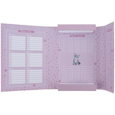 Папка для тетрадей B5 KITE мод 210 плотный картон на резинке Studio Pets SP25-210