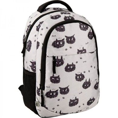 Рюкзак (ранец) GoPack школьный Education GO20-131M-1 Black cats