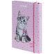 Папка для тетрадей B5 KITE мод 210 плотный картон на резинке Studio Pets SP25-210