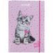 Папка для тетрадей B5 KITE мод 210 плотный картон на резинке Studio Pets SP25-210